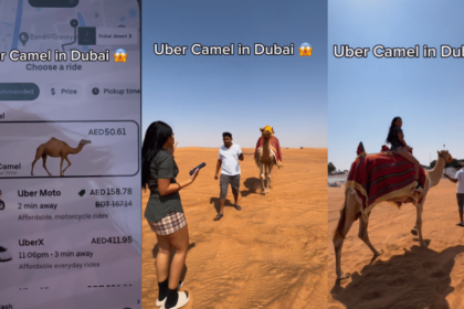 Women stranded in Dubai’s desert discover Uber’s camel ride option – Watch video