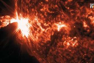 Sun erupts in powerful X3.3 Solar Flare