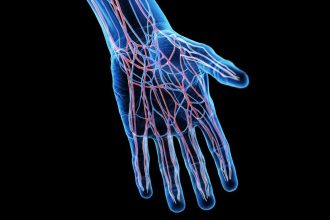 Breakthrough solution: Scientists develop lab-grown blood vessels using human cells