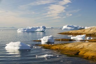 Natural carbon absorption declines drastically, is nature’s carbon sink failing?