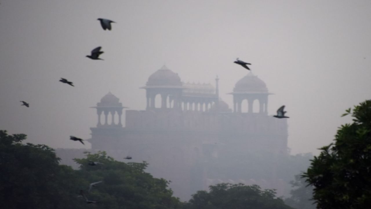 Delhi-NCR witnesses slightly better air quality despite ‘very poor’ AQI | Details Delhi-NCR witnesses slightly better air quality despite ‘very poor’ AQI | Details