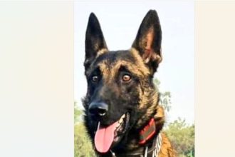 Army dog ‘Phantom’ makes supreme sacrifice during encounter with terrorists in J&K