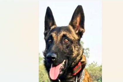 Army dog ‘Phantom’ makes supreme sacrifice during encounter with terrorists in J&K