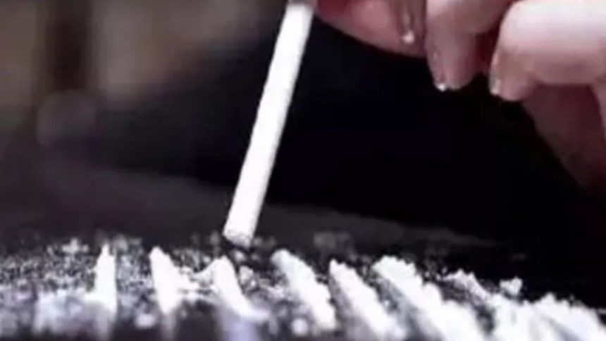 Gujarat Police seize 400 kg of drugs just a week after major cocaine bust
