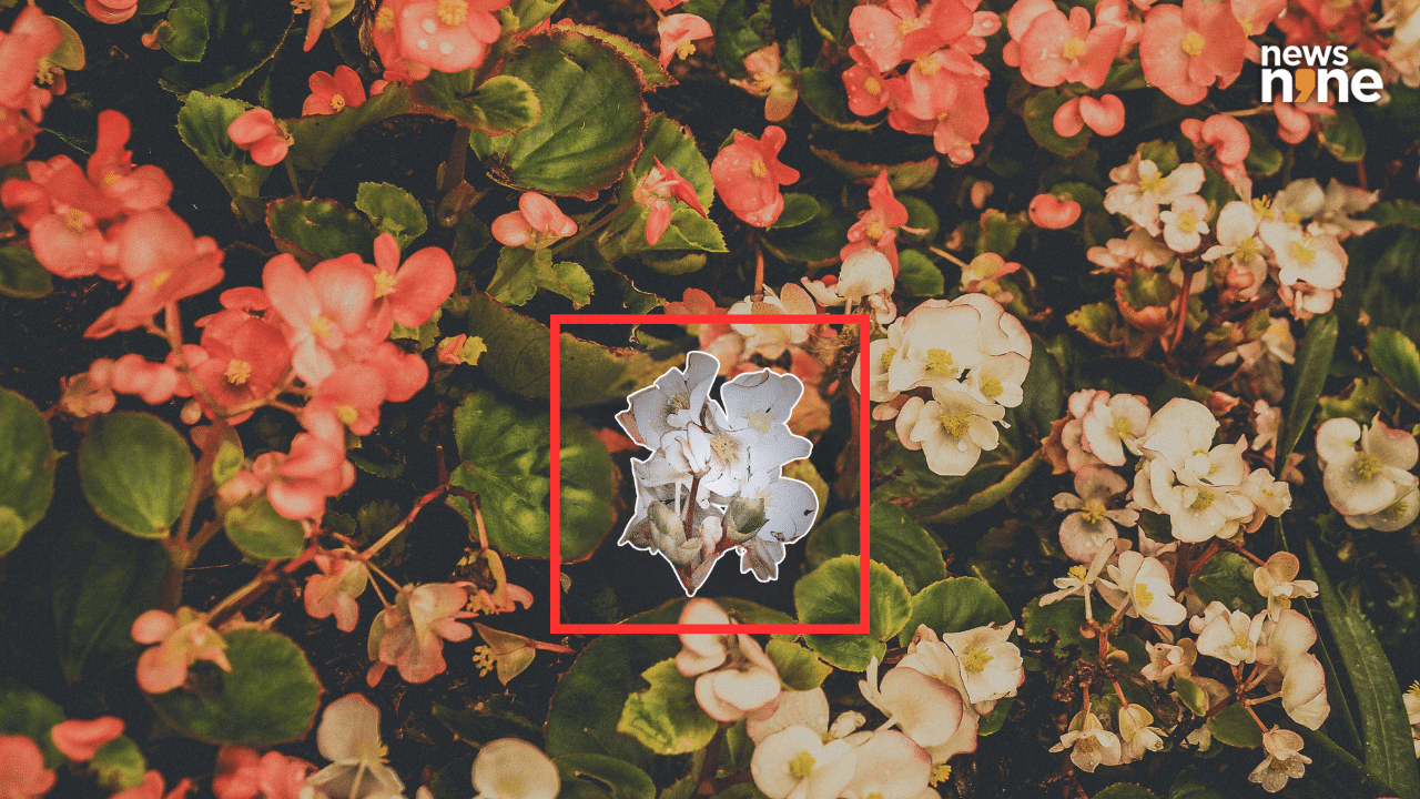 Google’s Unremovable Watermark for AI Images SynthID is Now Open Source