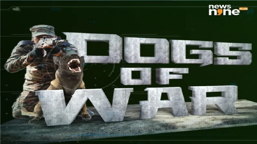 Dogs of War-All about warrior canine unit K9 | Watch Documentary