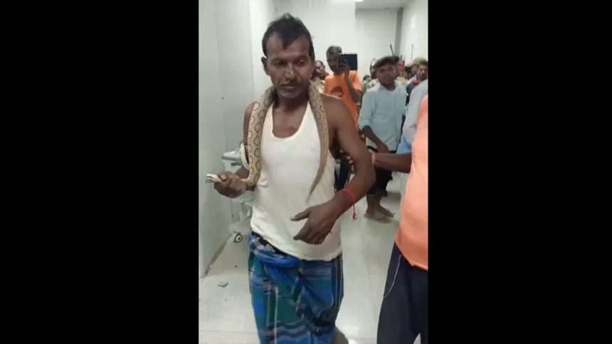 Man wraps snake around neck after being bitten by it, walks into hospital | Video