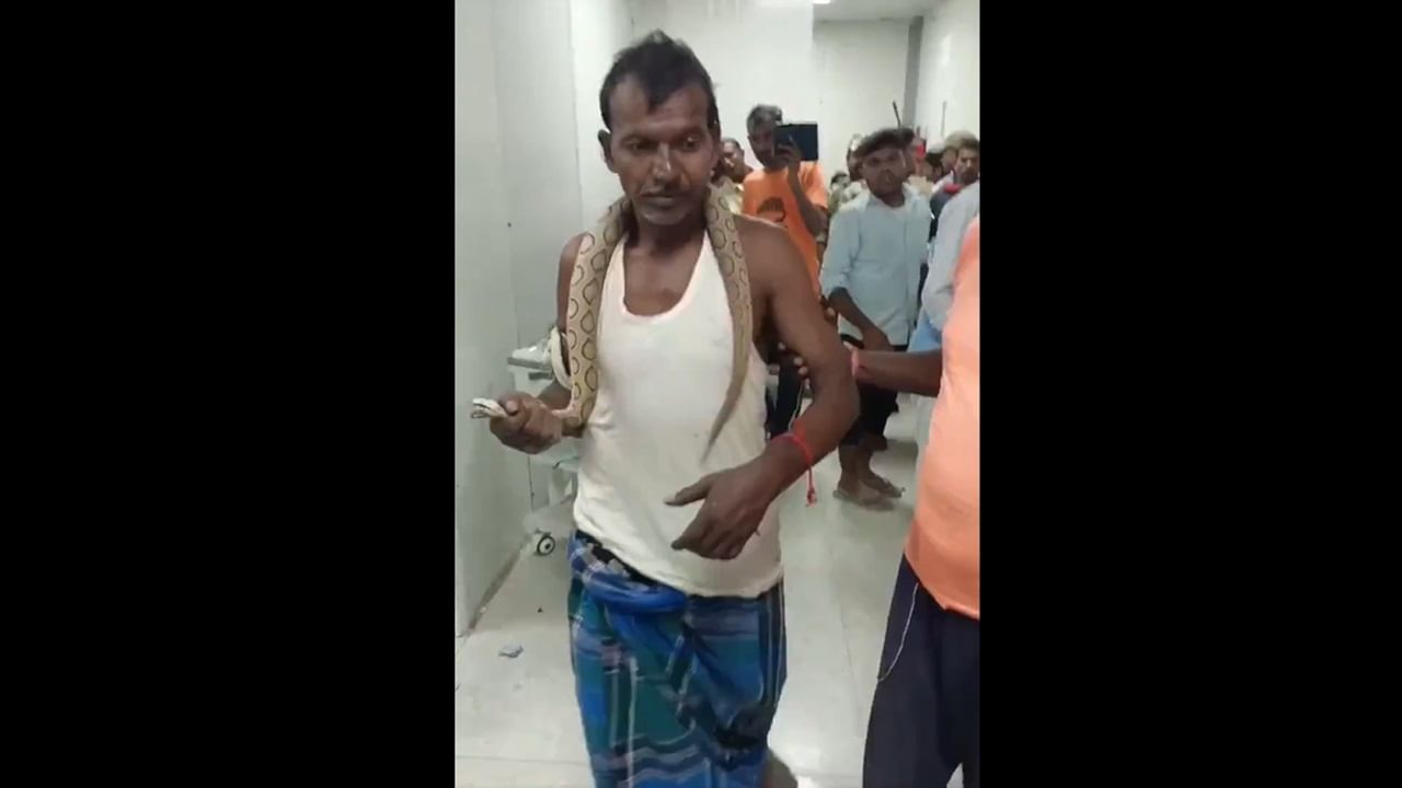 Man wraps snake around neck after being bitten by it, walks into hospital | Video Man wraps snake around neck after being bitten by it, walks into hospital | Video