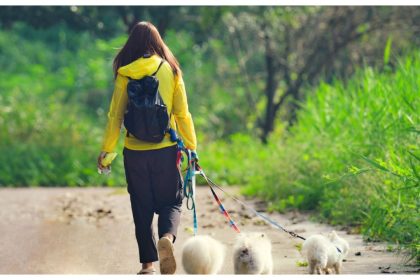 Go for a walk daily: Neurologist decodes simple key to dodging stroke risk