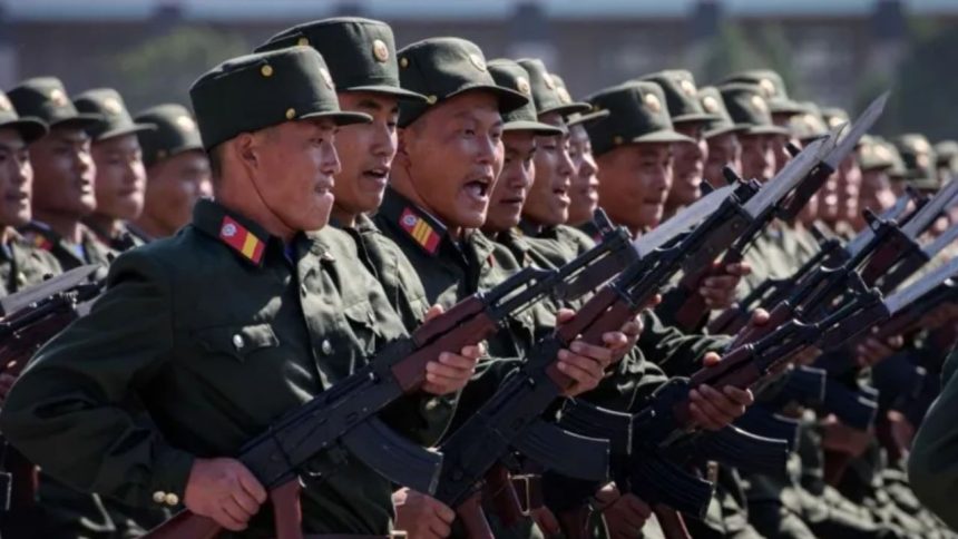 ‘What the f**k to do with them?’ Russian soldiers condemn North Korean recruits