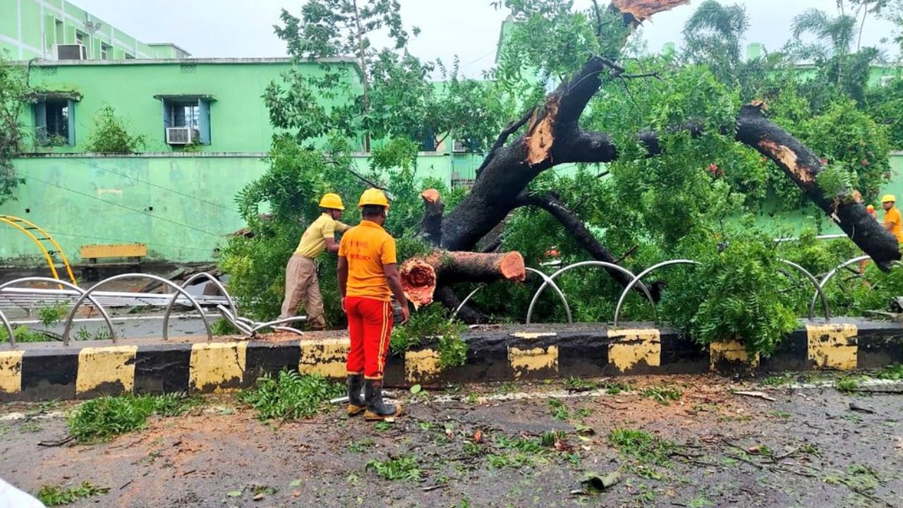 Focus on restoration in Odisha as cyclone Dana moves inland; heavy rains in Bengal