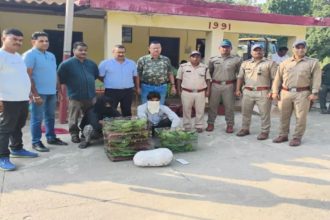 Two youths nabbed catching parrots in Uttarakhand’s forest; 47 parrots recovered