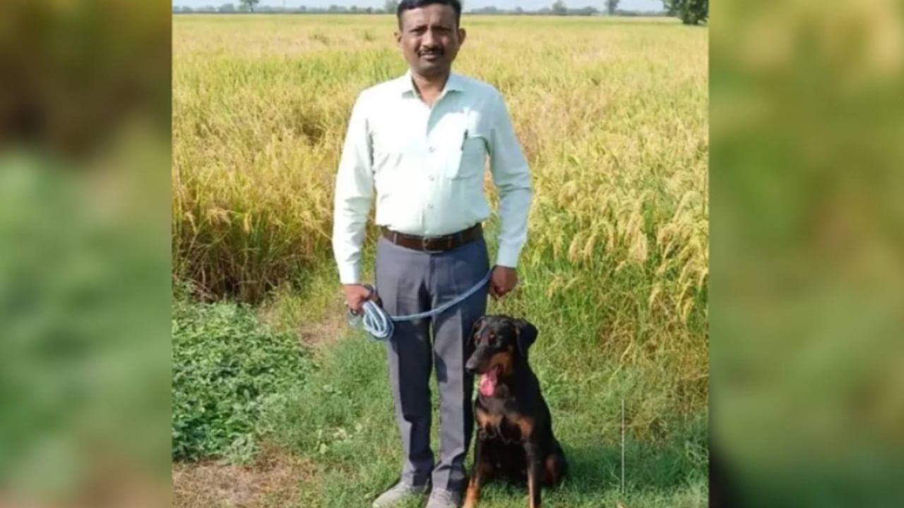 Dog helps cops recover Rs 1.07 cr stolen from house; Here’s how the canine did it