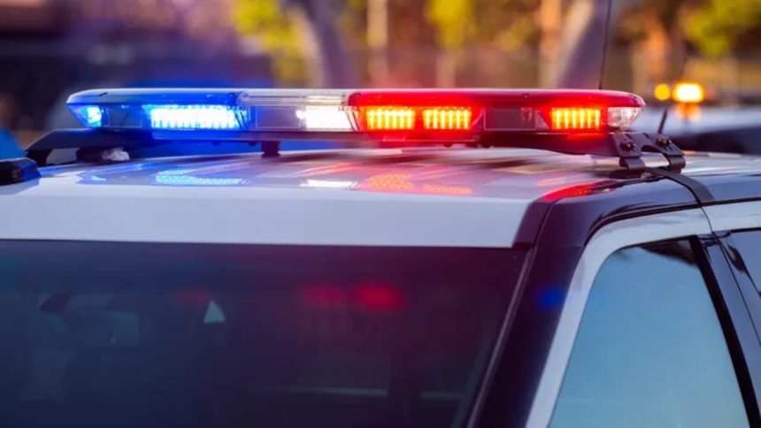 Delhi: Father-son duo attack cops over being stopped for modified bike silencer; held