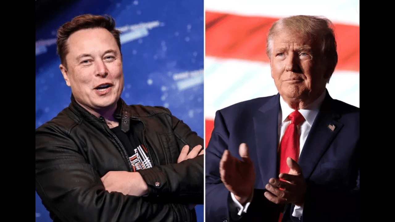 Musk-Trump and IVF: Bare electioneering or genuine concern for population collapse?