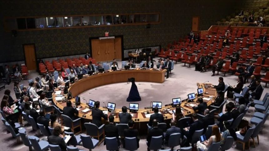 ‘Mischievous provocation, political propaganda’: India hits out at Pakistan at UNSC