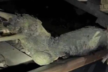 Sabotage suspicions rise as Bareilly-Varanasi Express hits 6 kg log on tracks in UP