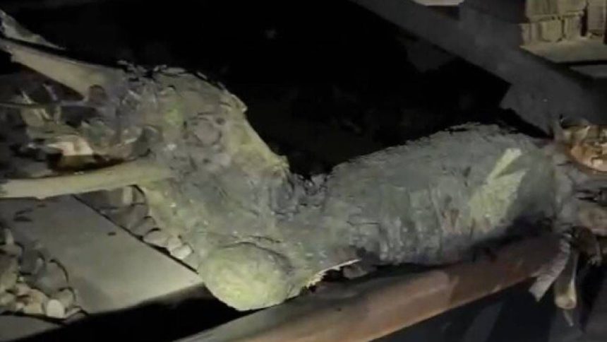 Sabotage suspicions rise as Bareilly-Varanasi Express hits 6 kg log on tracks in UP