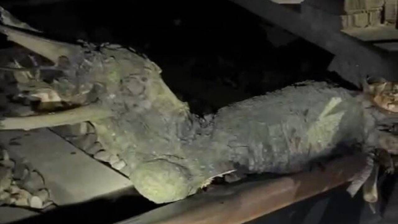 Sabotage suspicions rise as Bareilly-Varanasi Express hits 6 kg log on tracks in UP