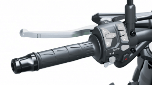 2025 kawasaki z900 1