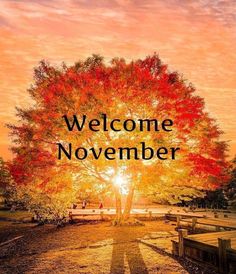 Welcome November! 300+ Heartfelt quotes, images, and blessings for a joyful month 6 Welcome November image