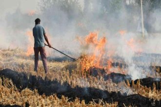 Are farmers in Punjab evading NASA satellites?