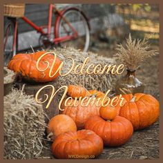 This may contain: pumpkins and hay with the words welcome november