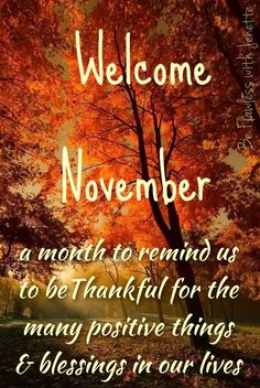 Welcome November! 300+ Heartfelt quotes, images, and blessings for a joyful month 3 November image
