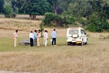 Toxicity suspected as 10 elephants die in 3 days at MP’s Bandhavgarh Tiger Reserve