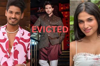 Bigg Boss 18: Shehzada Dhami EVICTED; two wildcard contestants to enter