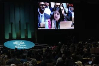 COP29: Why 300-billion-dollar climate deal leaves India and allies furious?