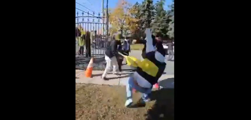 VHP’s Alok Kumar condemns attack on Hindu temple in Canada