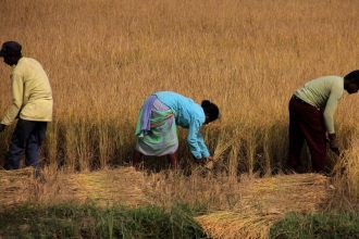 Cabinet clears Rs 10,700 crore fund infusion into FCI in boost to agrarian economy