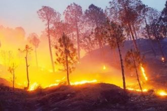 Uttarakhand seeks 400 crores from center to deal with forest fires, sends proposal