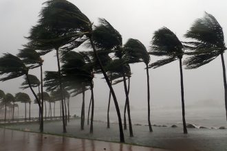Chennai Weather Update: City braces for heavy showers; IMD issues Yellow Alert