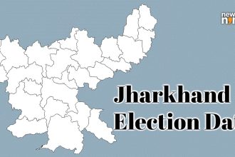 Jharkhand Election 2024: How to check your name in voter list