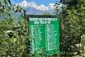Miyawaki Forest blooms at 2,450 meters altitude in Uttarakhand, sets world record