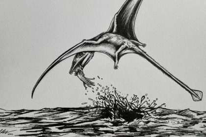 Fossilised stomach contents reveals diets of Jurassic pterosaurs