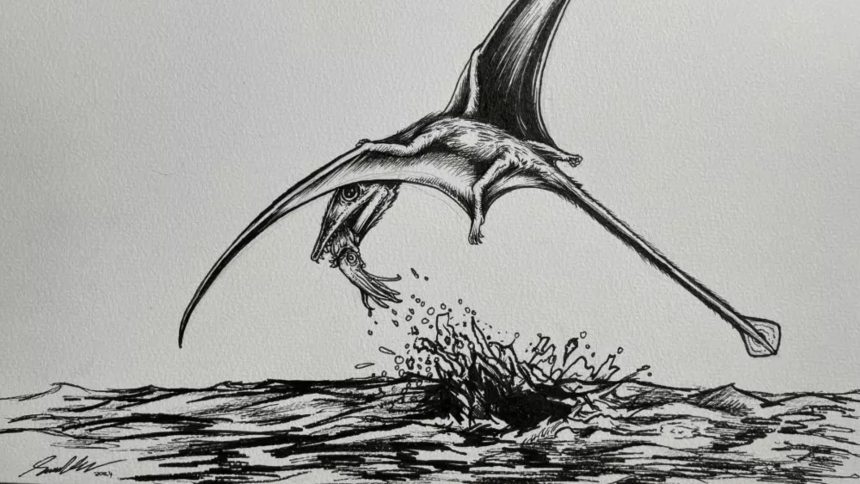 Fossilised stomach contents reveals diets of Jurassic pterosaurs 1 Fossilised stomach contents reveals diets of Jurassic pterosaurs