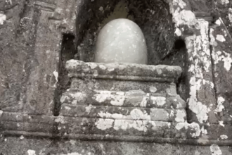 Rare historical find: Hidden carvings of Hindu Gods unearthed in Kashmir forest