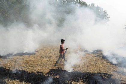 Punjab farmers outsmart NASA satellites in stubble-burning detection?