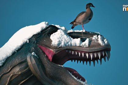 Dinosaurs emerged from global volcanic winter