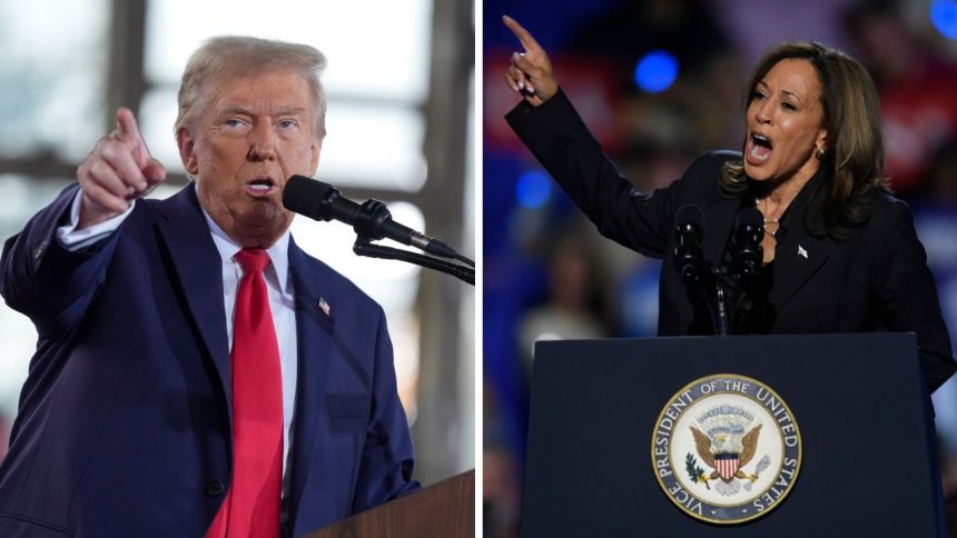 Trump vs Harris: How US Prez polls may affect Indian investors | Brokerage view