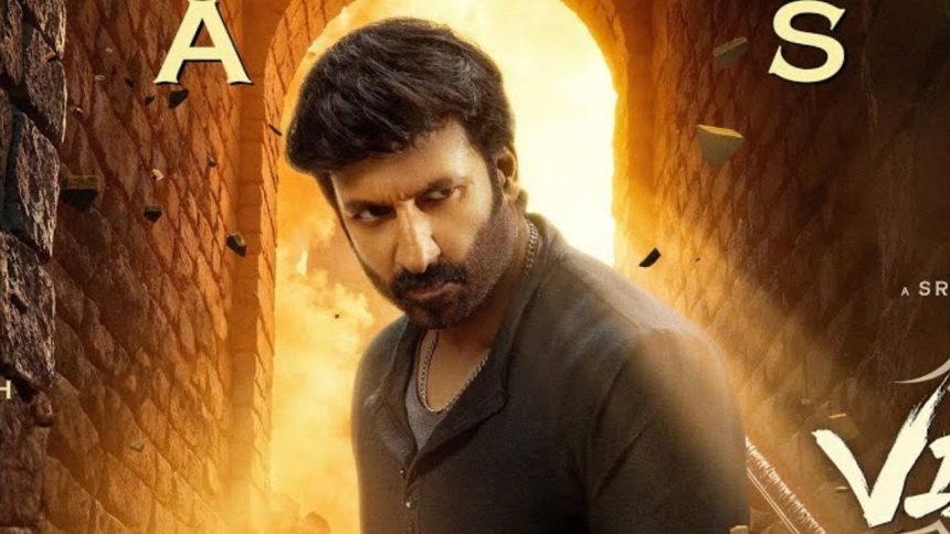 Visvam on OTT: When and where to watch Telugu comedy action film online?