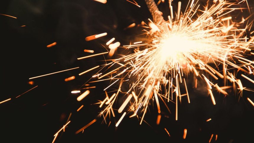 Woman says dog had sleepless nights due to Diwali crackers; asked to leave country