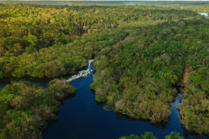 India commits to 30% protected areas in updated biodiversity plan