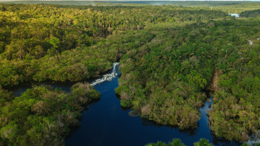 India commits to 30% protected areas in updated biodiversity plan