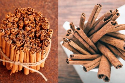 Are you really using cinnamon? Discover the truth about Cassia vs Ceylon