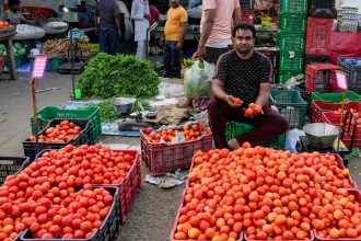 Vegetable vendors in Delhi’s Najafgarh asked to display names, numbers: Here’s why