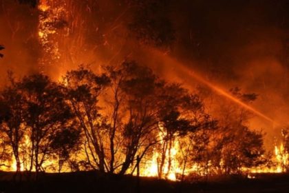 Forest department develops mobile app for quick response to wildfires in Uttarakhand